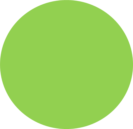 Logo ST définitive